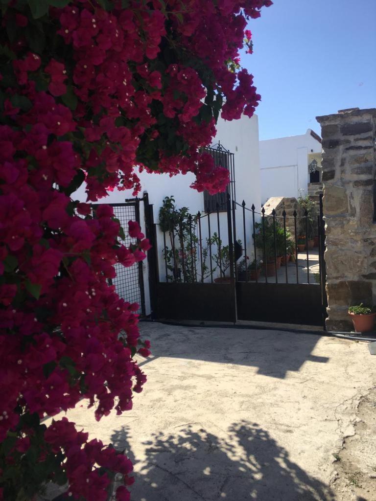 Apartamento Las Adelfas ตาริฟา ภายนอก รูปภาพ